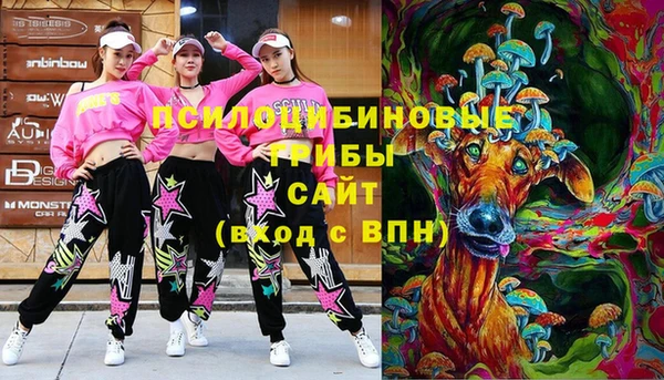 спайс Баксан