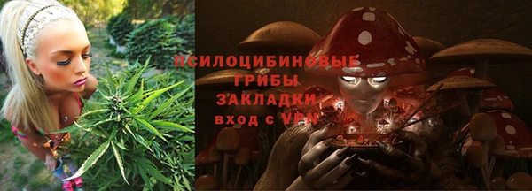 спайс Баксан