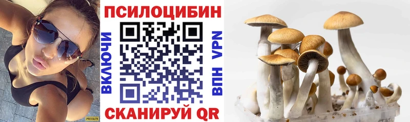 Галлюциногенные грибы MAGIC MUSHROOMS  mega ТОР  Гороховец 